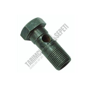 HİD.DAMPER BORU BAĞL.CIVATASI (BANJO)