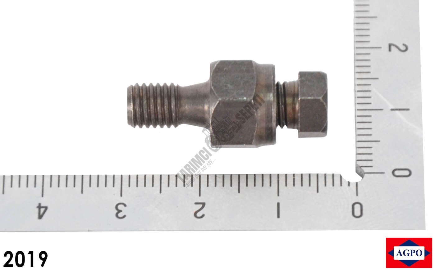 MAZOT POMPA REKORU İNCE DİŞ