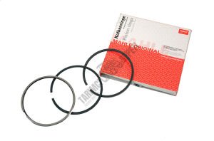 SEGMAN STD (007 94 N0) 103 MM