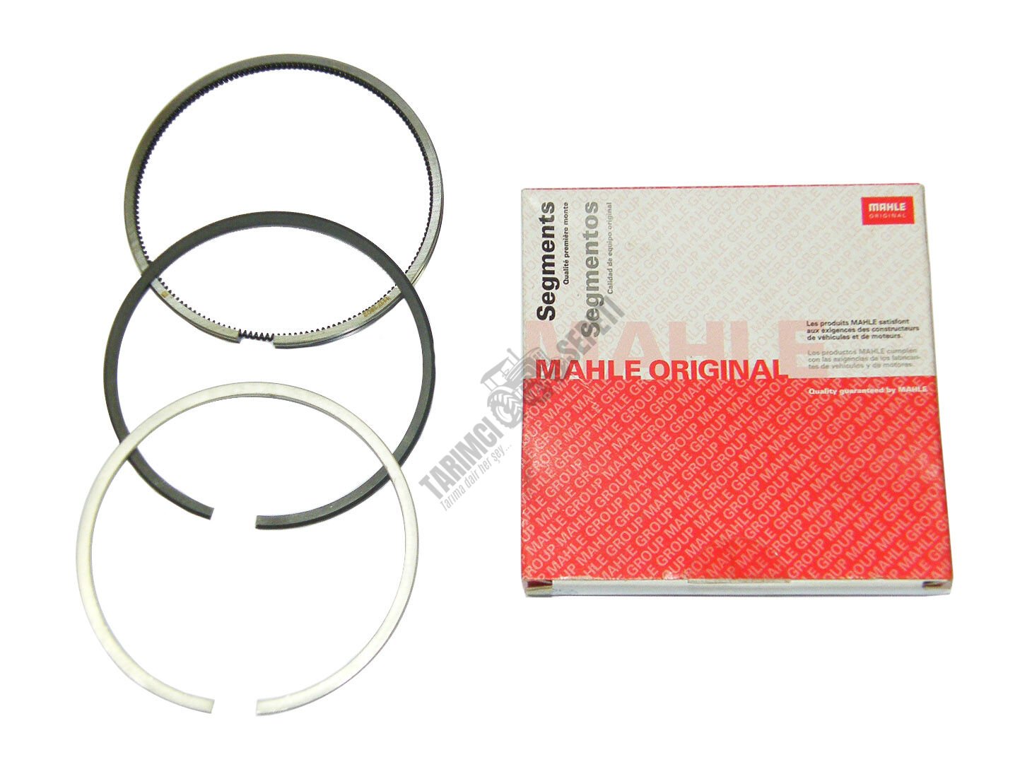 SEGMAN STD (007 97 V0) EM.