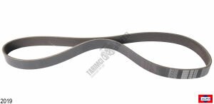 VANTİLATÖR KAYIŞI 8PK1135