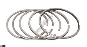 SEGMAN STD 100,00 MM