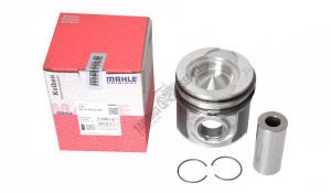 PİSTON SEGMANLI 58 HÜCRE 38 PİM 104mm (257PI00102000)