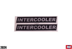 YAN YAZI INTERCOOLER TAKIM