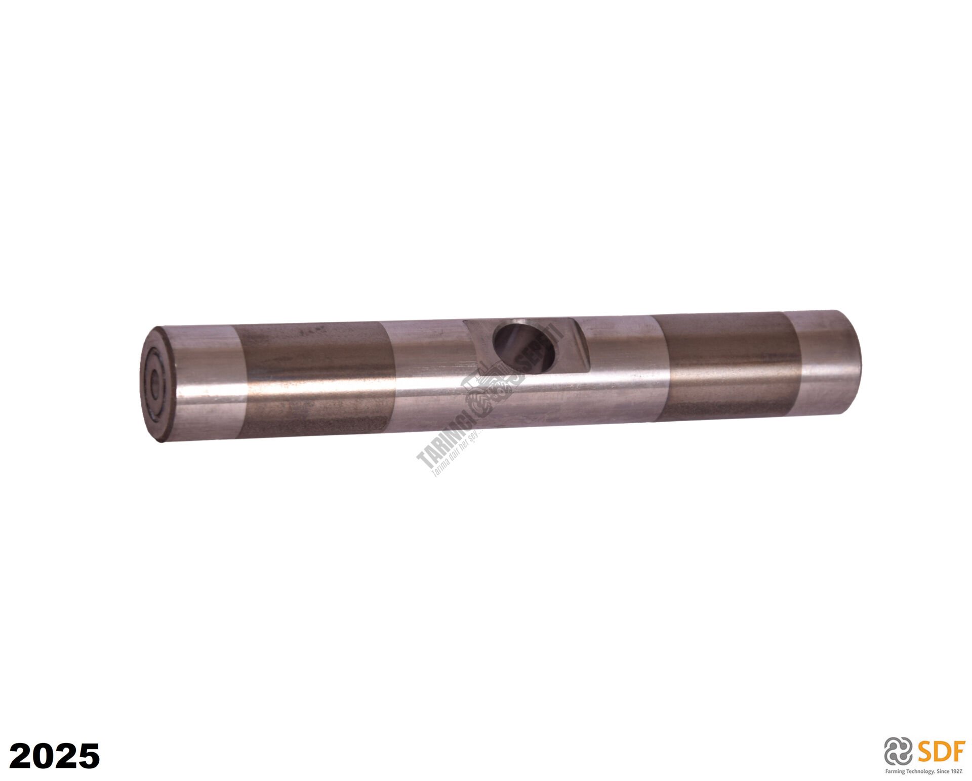 İSTAVROZ PİMİ UZUN