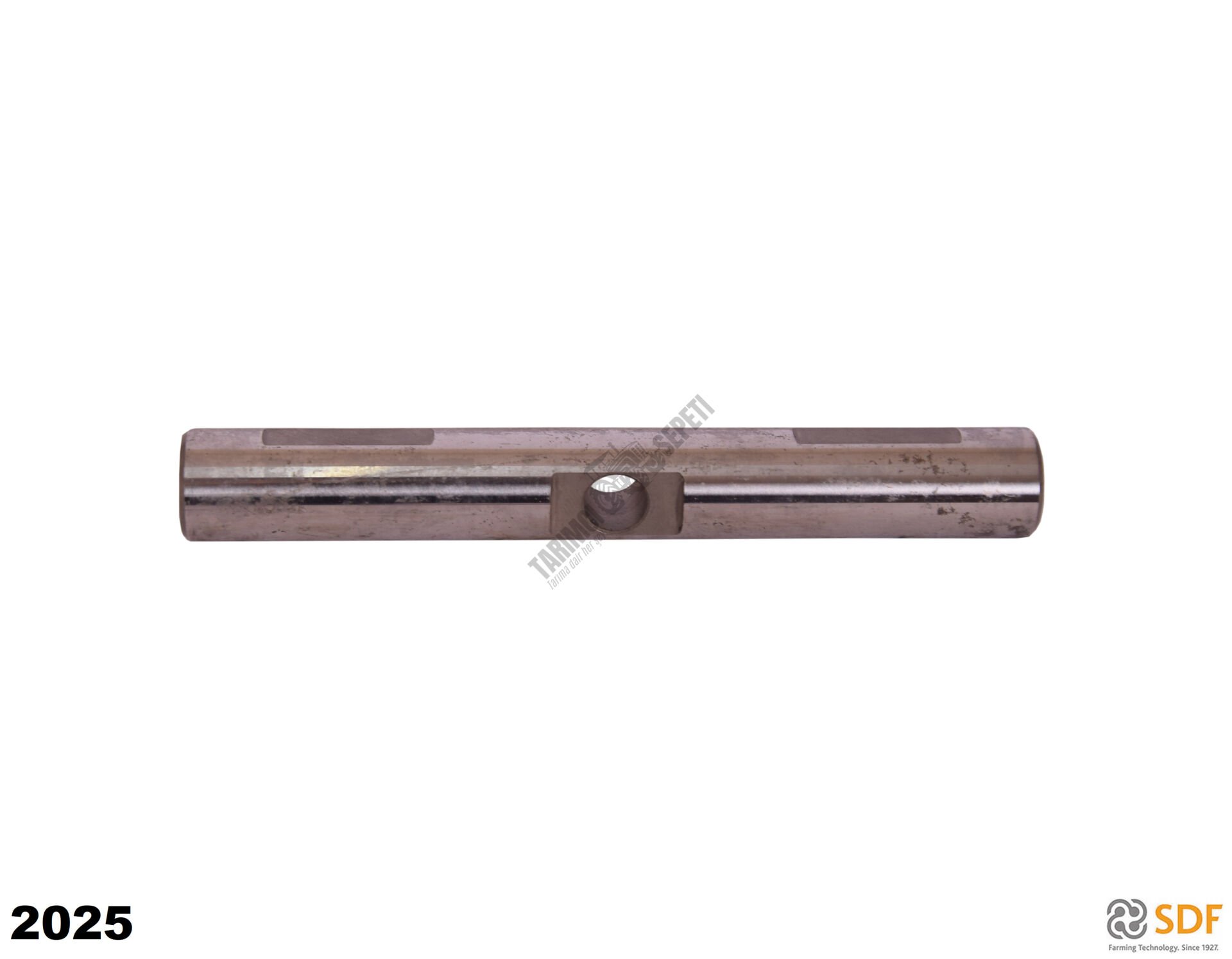 İSTAVROZ PİMİ UZUN