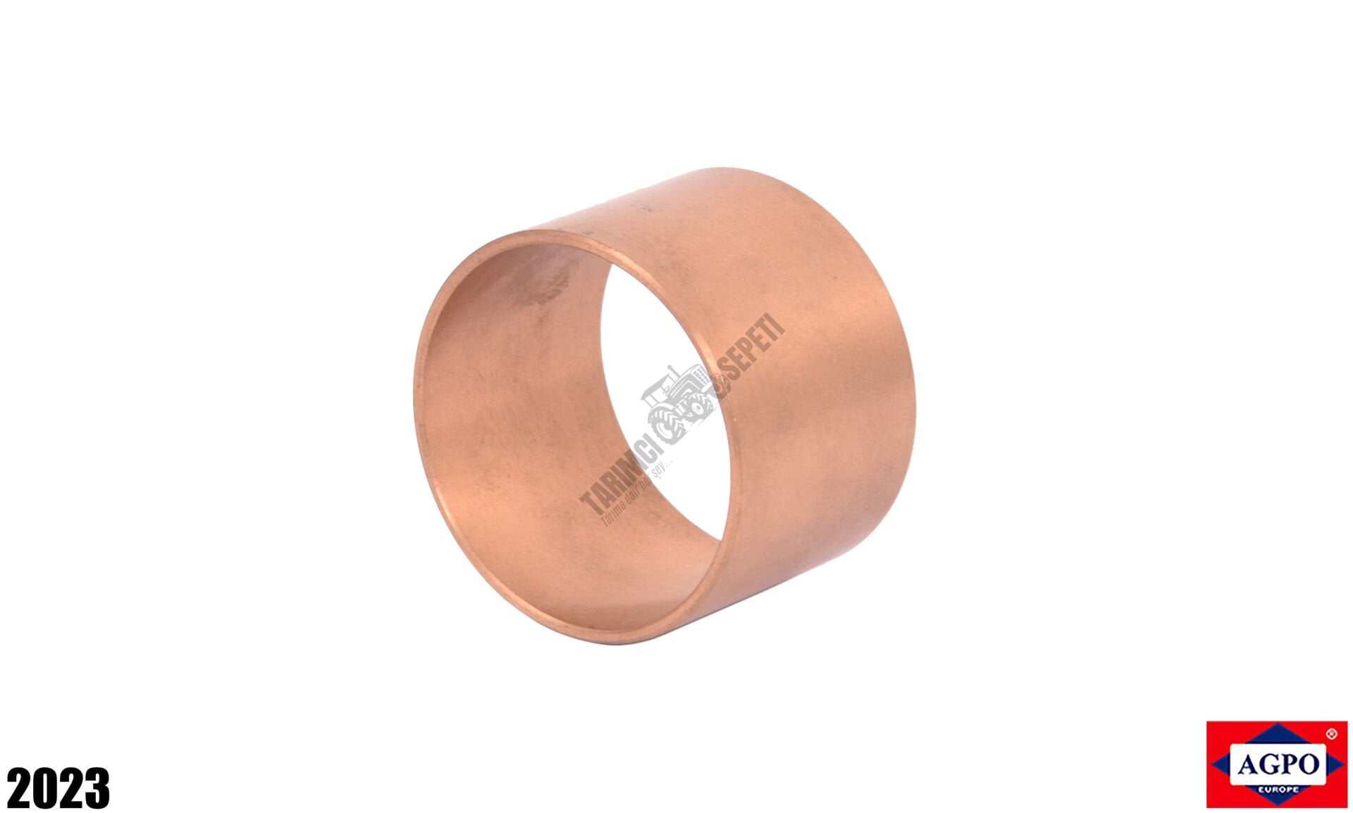 ÖN DİNGİL BURCU İNCE,SARI