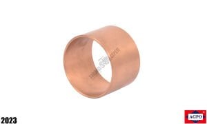 ÖN DİNGİL BURCU İNCE,SARI