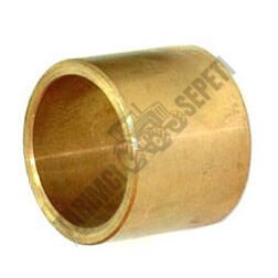 ÖN DİNGİL BURCU SARI