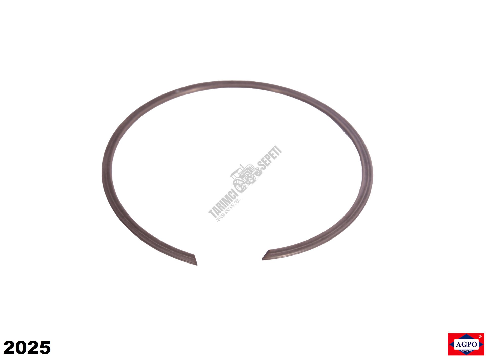 ŞANZIMAN SEGMANI BÜYÜK