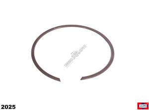 ŞANZIMAN SEGMANI BÜYÜK