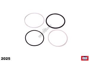 HİDROLİK PİSTON GÖMLEK LASTİK TM TK