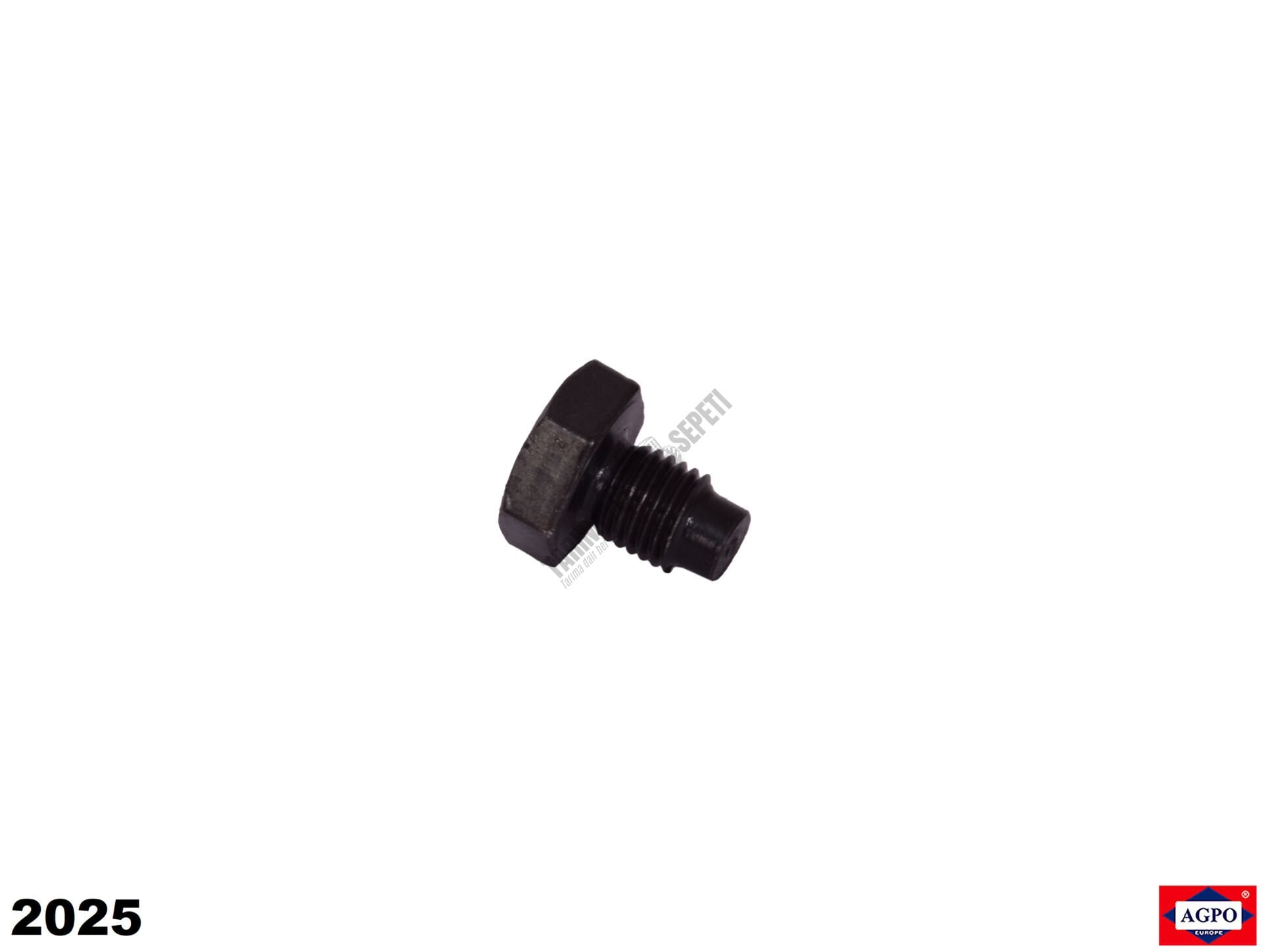 ŞANZIMAN ŞAFT VİDASI