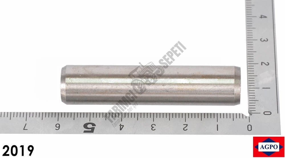 SUPAP GAYDI (YUVASI) IN-EX AD