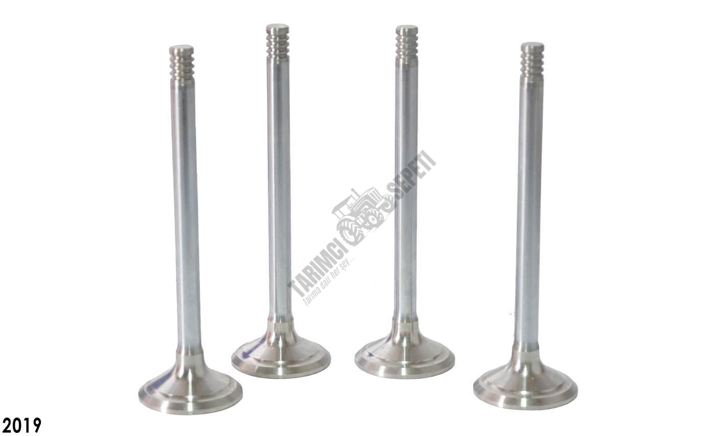 SUPAP EGZOZ 0.015 FARKLI 3 TIRNAK