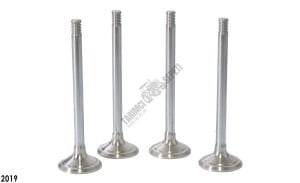 SUPAP EGZOZ 0.015 FARKLI 3 TIRNAK