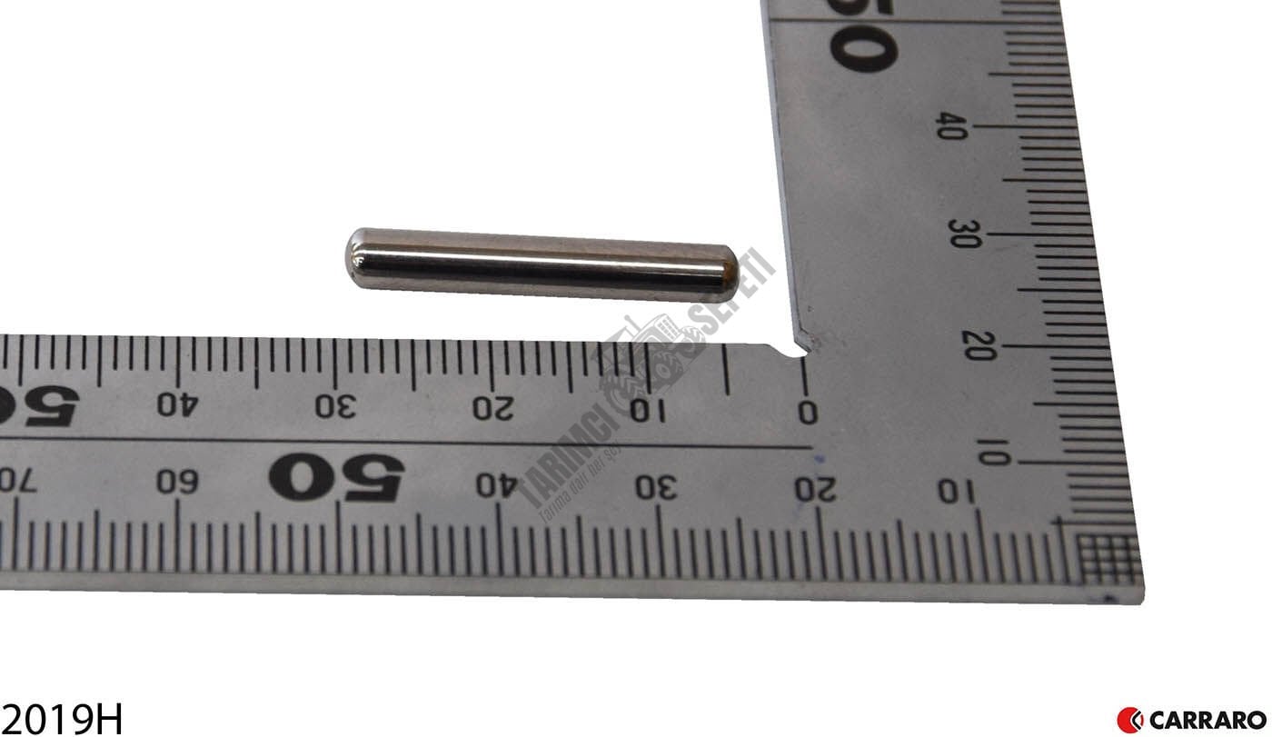 ÖN AKS TEKER PORYA DİŞLİ TANE İĞNELİ RULMAN 4x25