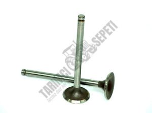 SUPAP EGZOZ ÇUKUR STD