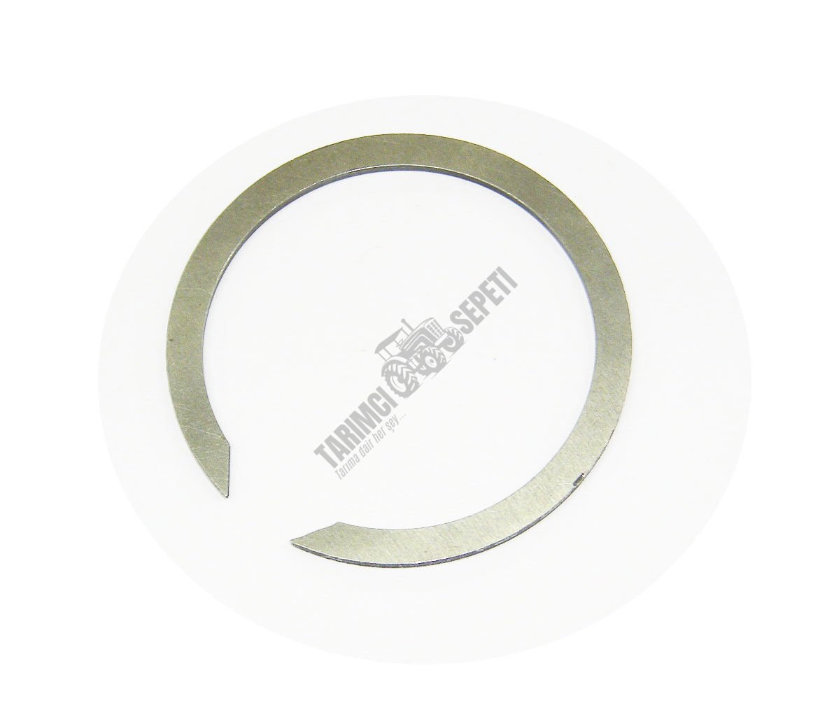 ARKA AKS UZUN DİŞLİ TEPE SEGMANI