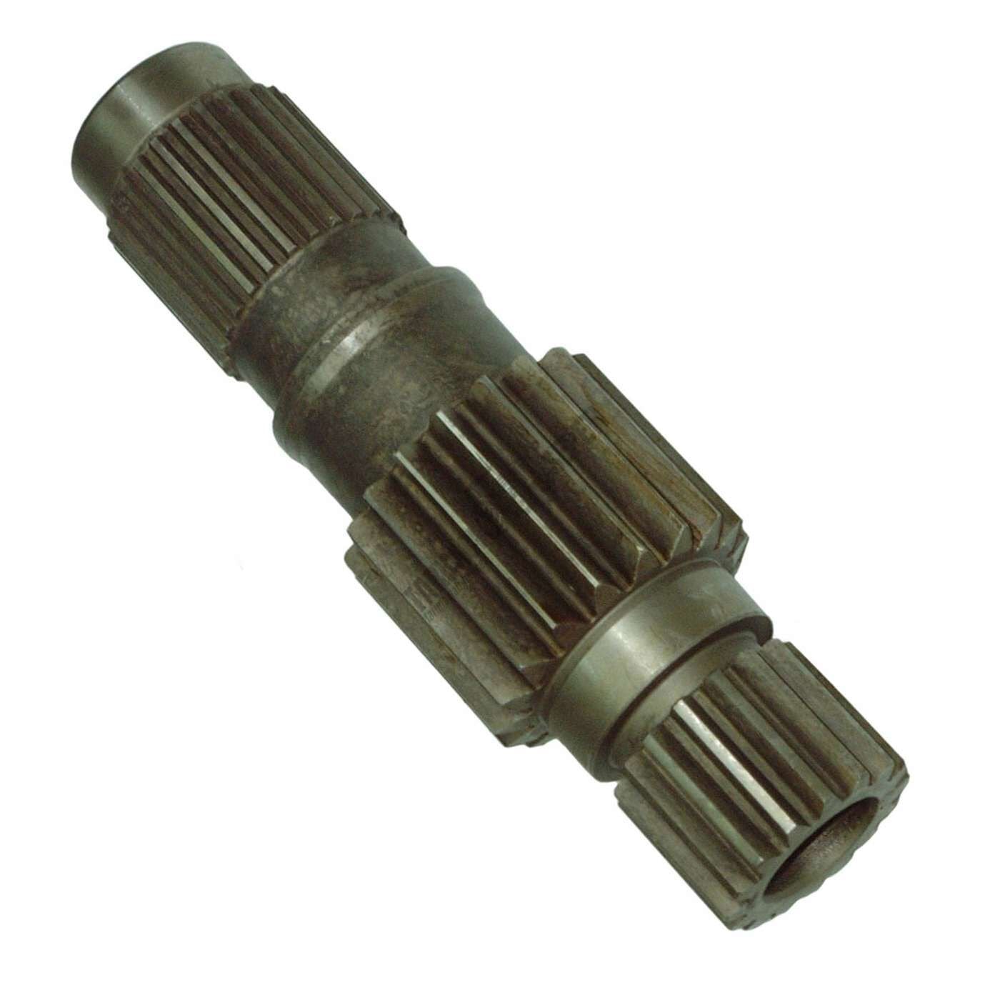 GRUP MİLİ-16-18-26 DİŞ