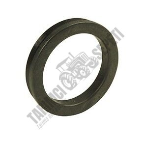 AKS BAŞI KEÇE NBR RWDR COMBİ 57x73/76x10/13,8