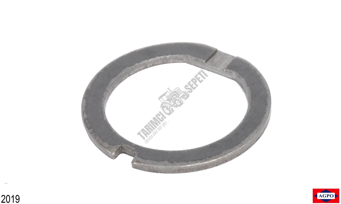 ÇANAK DİŞLİSİ GÖBEĞİ PULU