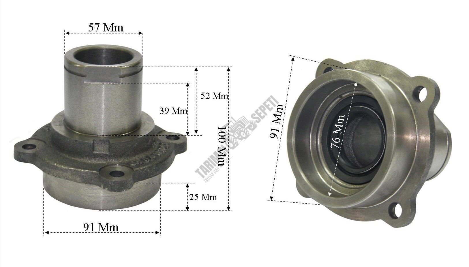 ÇANAK DİŞLİSİ GÖBEĞİ UZUN (39MM)