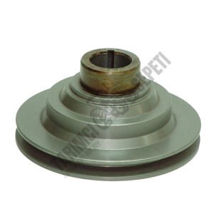 KRANK KASNAĞI (KAMALI)