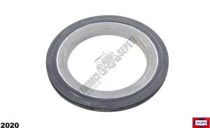 ARKA AKS KOVAN KEÇESİ