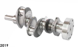 KRANK KALIN KAFA KEÇELİ TİP (SFERO) GM1106