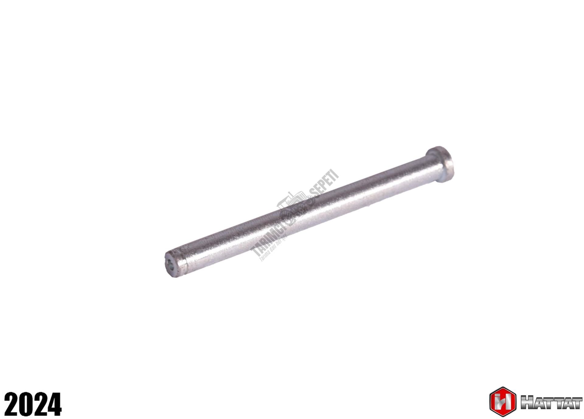 KAPI MENTEŞE PİMİ