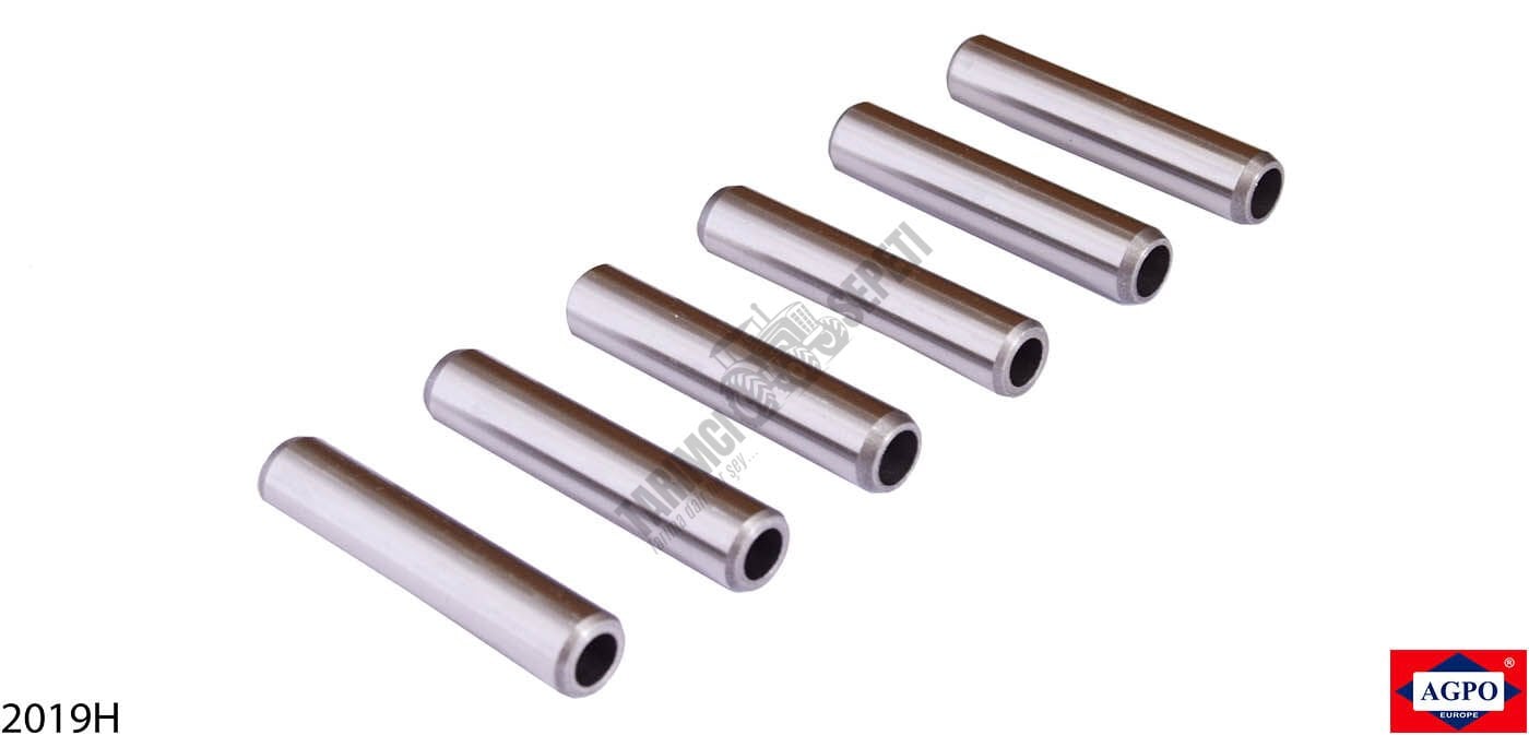 SUPAP GAYDI IN +EX (6.AD.) TK.