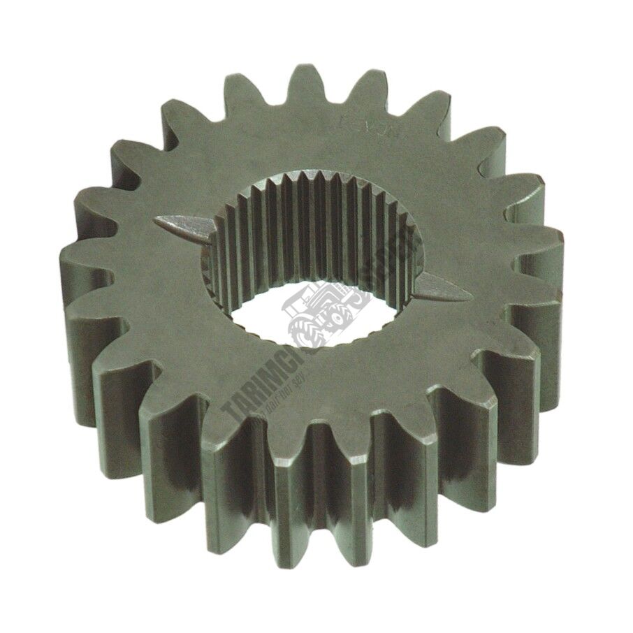 CER GÜNEŞ DİŞLİ 21.DİŞ