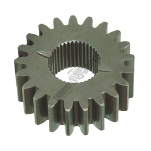 CER GÜNEŞ DİŞLİ 21.DİŞ