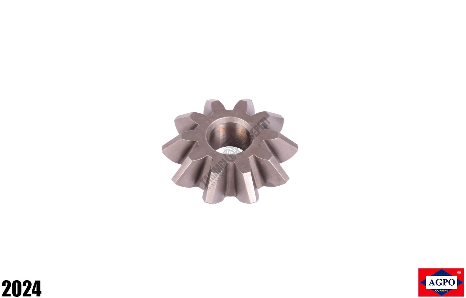 İSTAVROZ DİŞLİSİ BÜYÜK YM