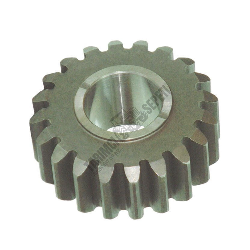 CER KOZA DİŞLİ 20,DİŞ