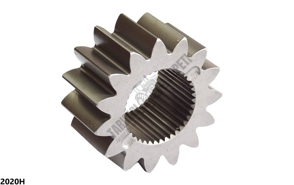 CER GÜNEŞ DİŞLİ 15.DİŞ