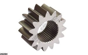 CER GÜNEŞ DİŞLİ 15.DİŞ