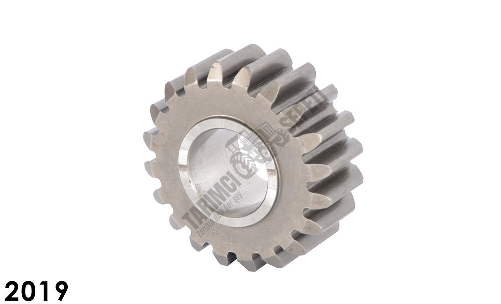 CER KOZA DİŞLİ 20,DİŞ