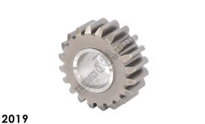 CER KOZA DİŞLİ 20,DİŞ