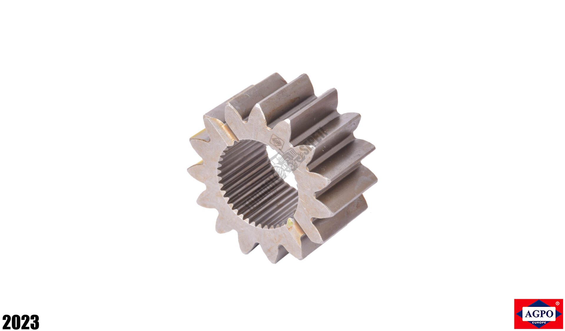 CER GÜNEŞ DİŞLİ 15.DİŞ