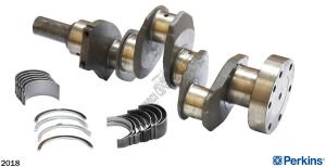 KRANK KALIN KAFA YATAKLI