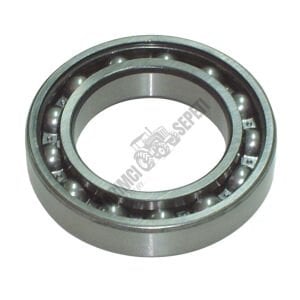 KUYRUK MİL RULMANI 6011