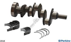 KRANK KALIN KAFA YATAKLI