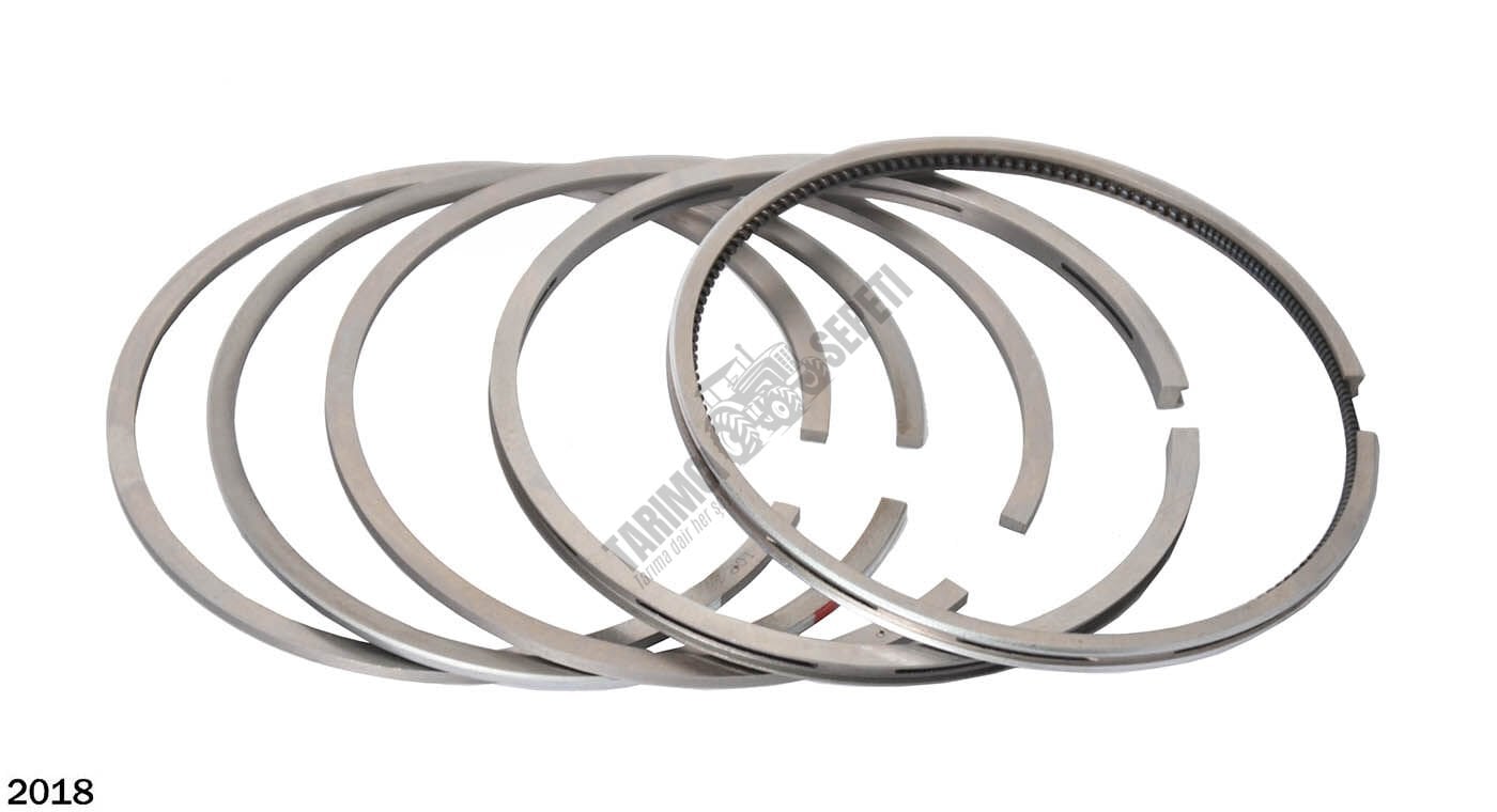 SEGMAN STD 100,00 MM