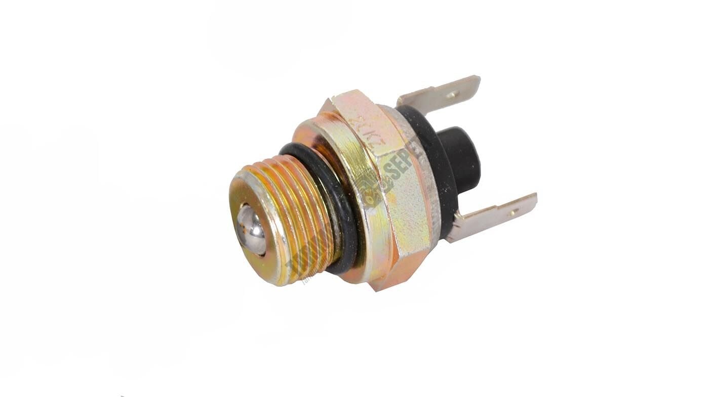 İPTO VİTES MÜŞİRİ YM