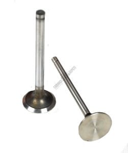 SUPAP EGZOZ STD (0258)