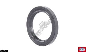 ARKA AKS İÇ KÜÇÜK KEÇE 9788