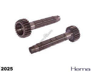 YAVRU ŞANZ.DİŞLİ