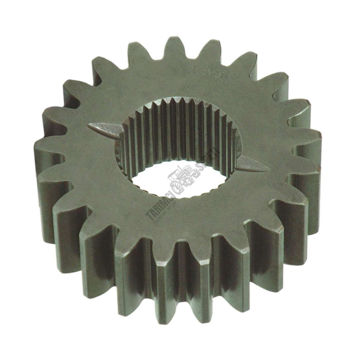 CER GÜNEŞ DİŞLİ 21DİŞ